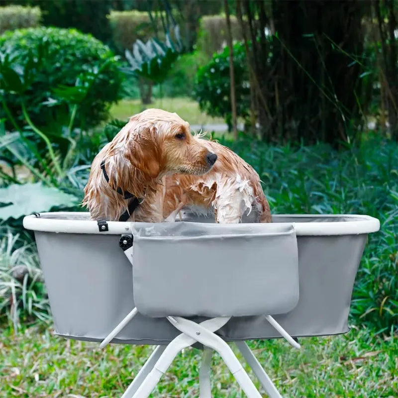 Elevated Dog Bath Tub